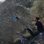 Saily 2* كوروبي