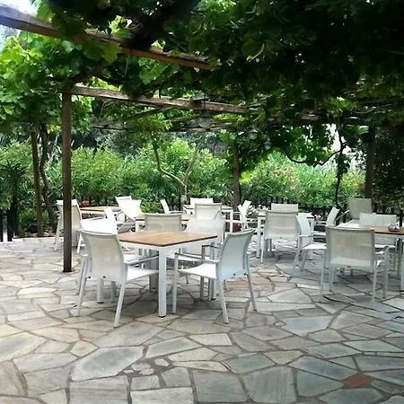 Hotel Saily