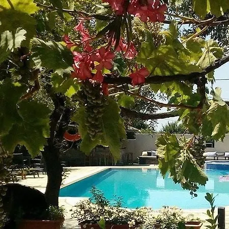 Hotel Saily