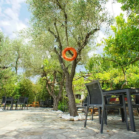Saily Hotel